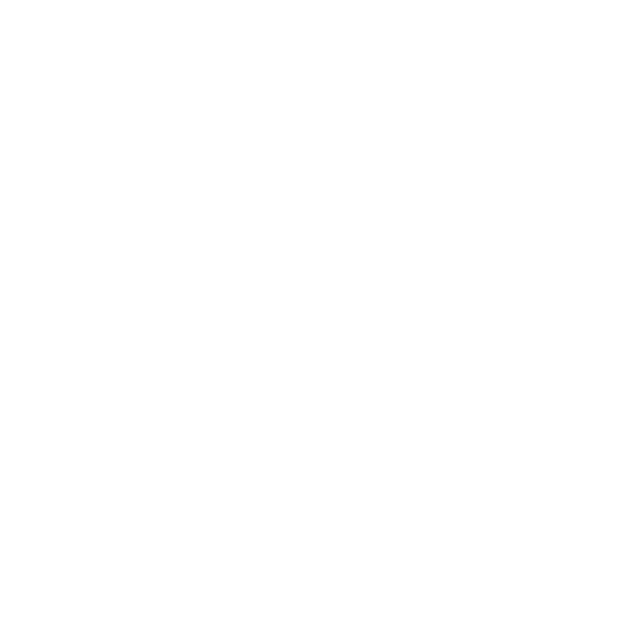 CARLOS ALVES