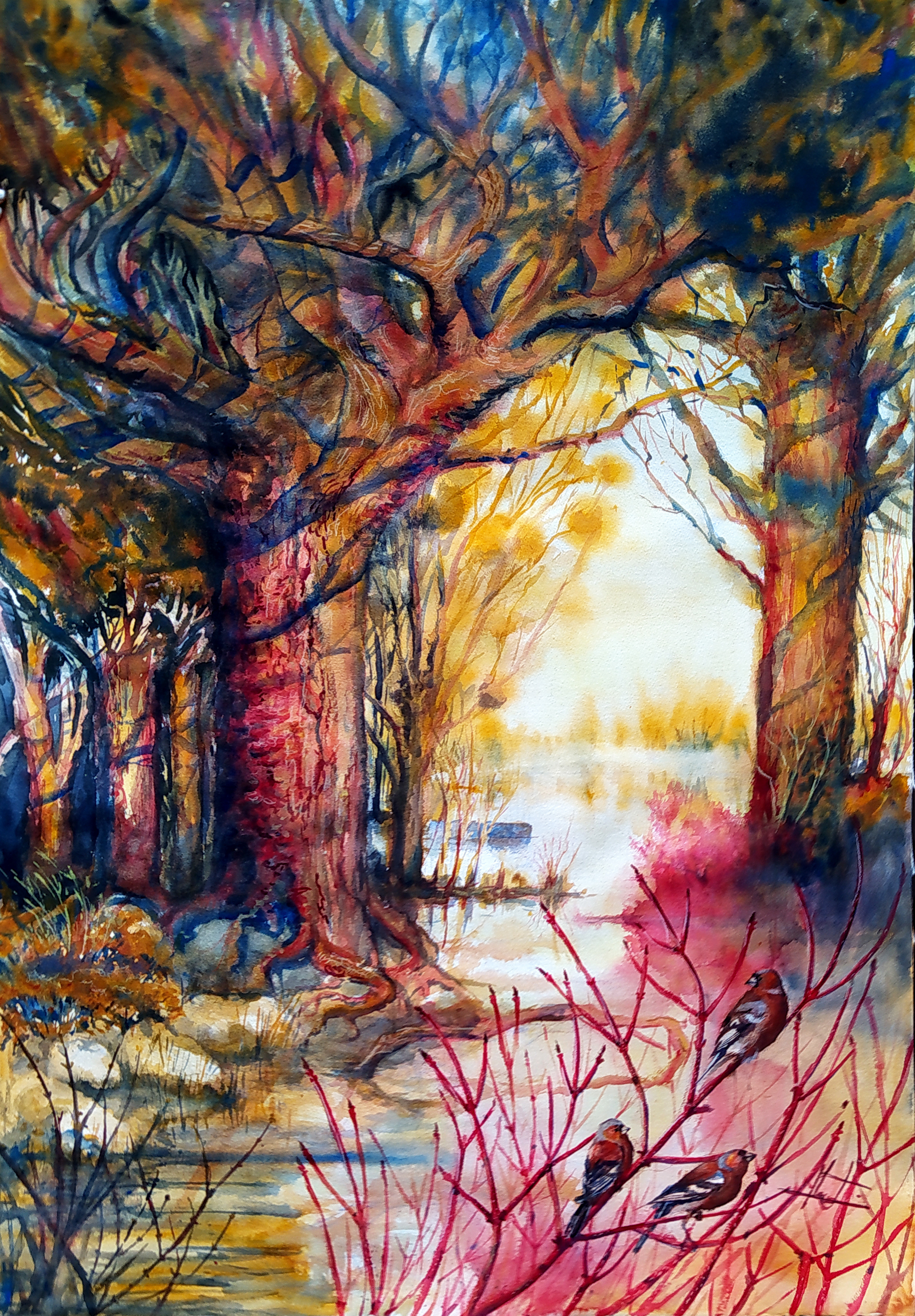 Aquarelle grand format peinte par Arnaud MArtin. Représentation de trois pinsons sur des berges innondées.