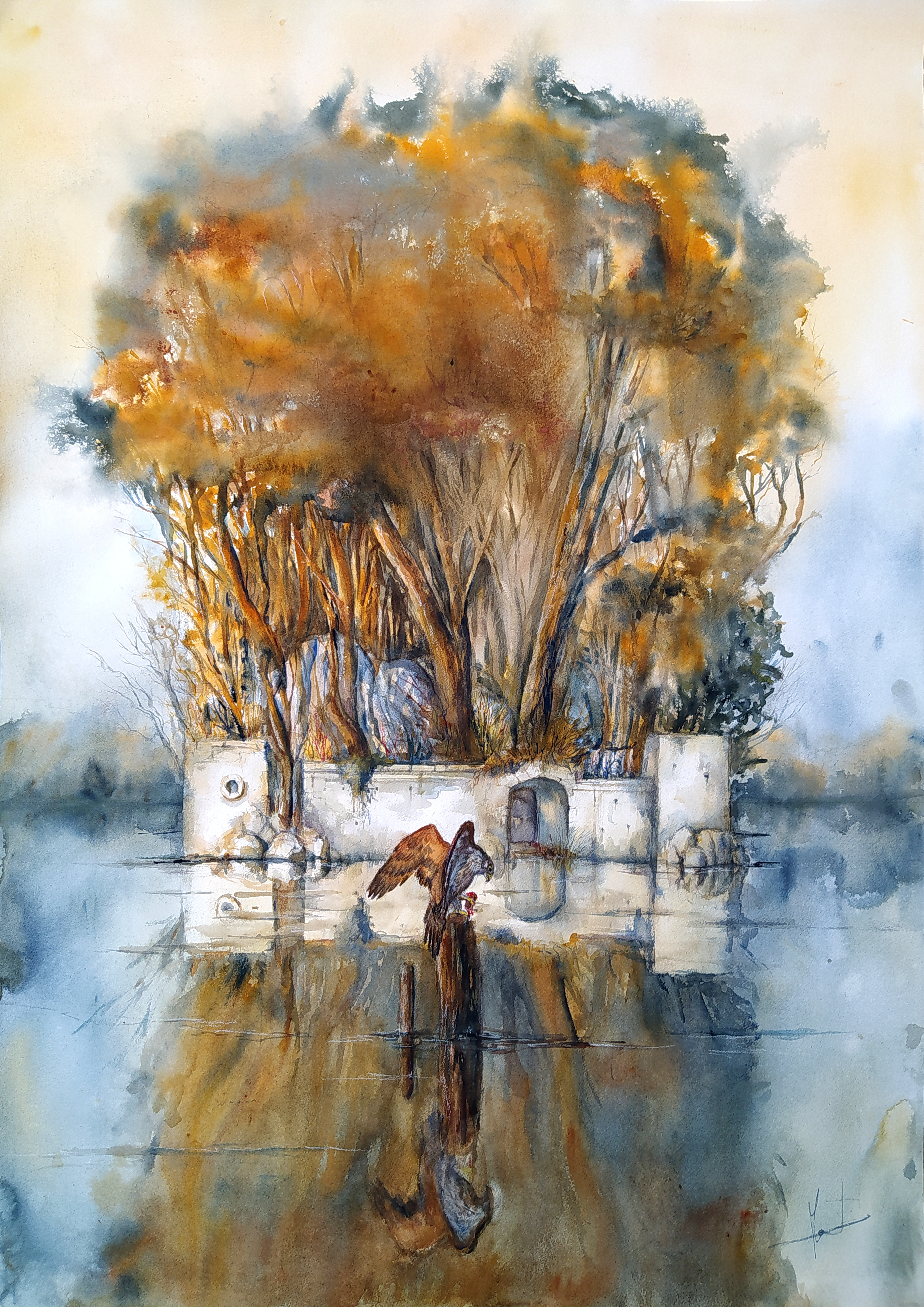 Scène de vie sauvage peinte à l'aquarelle par Arnaud Martin. Rapace sur un lac