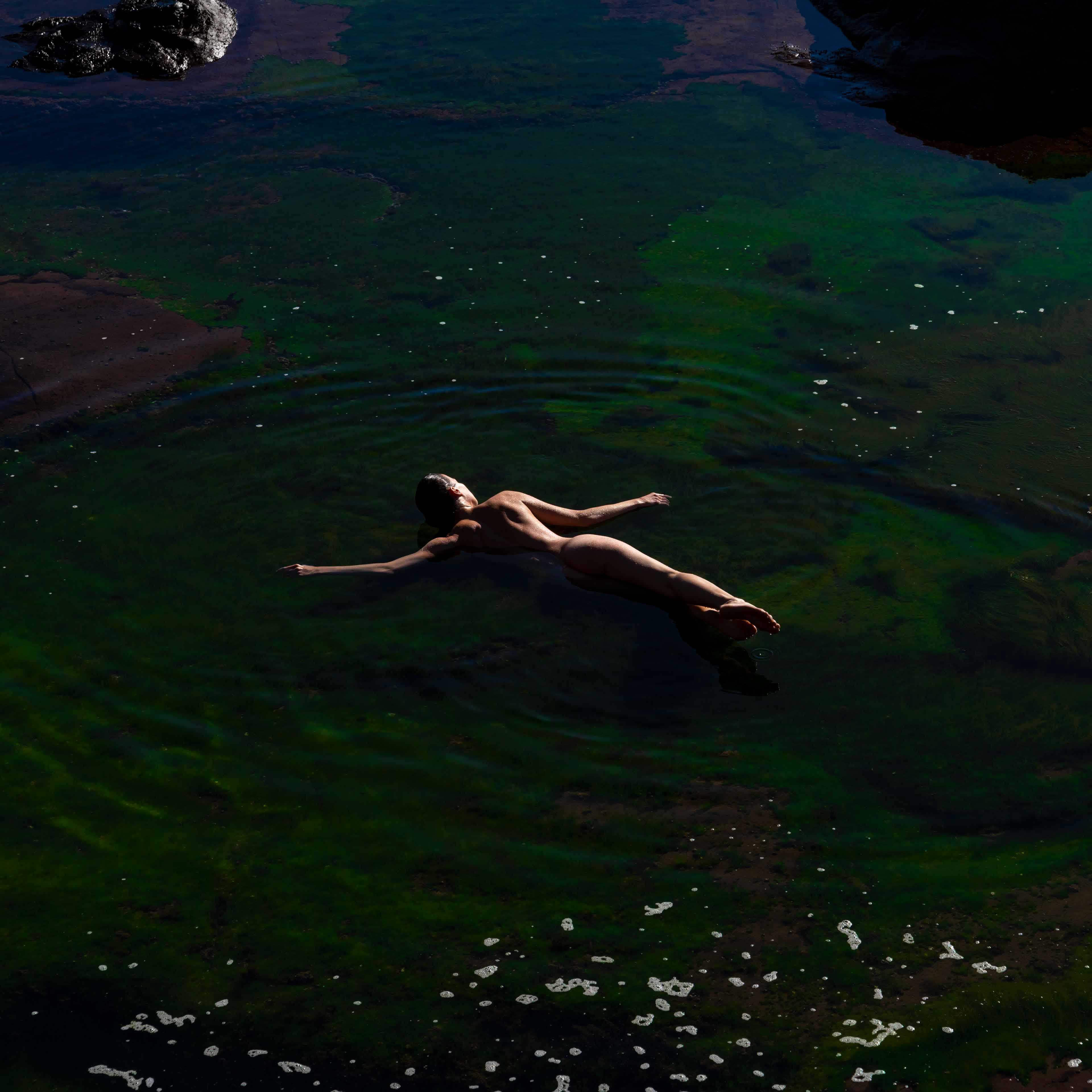 The Siren