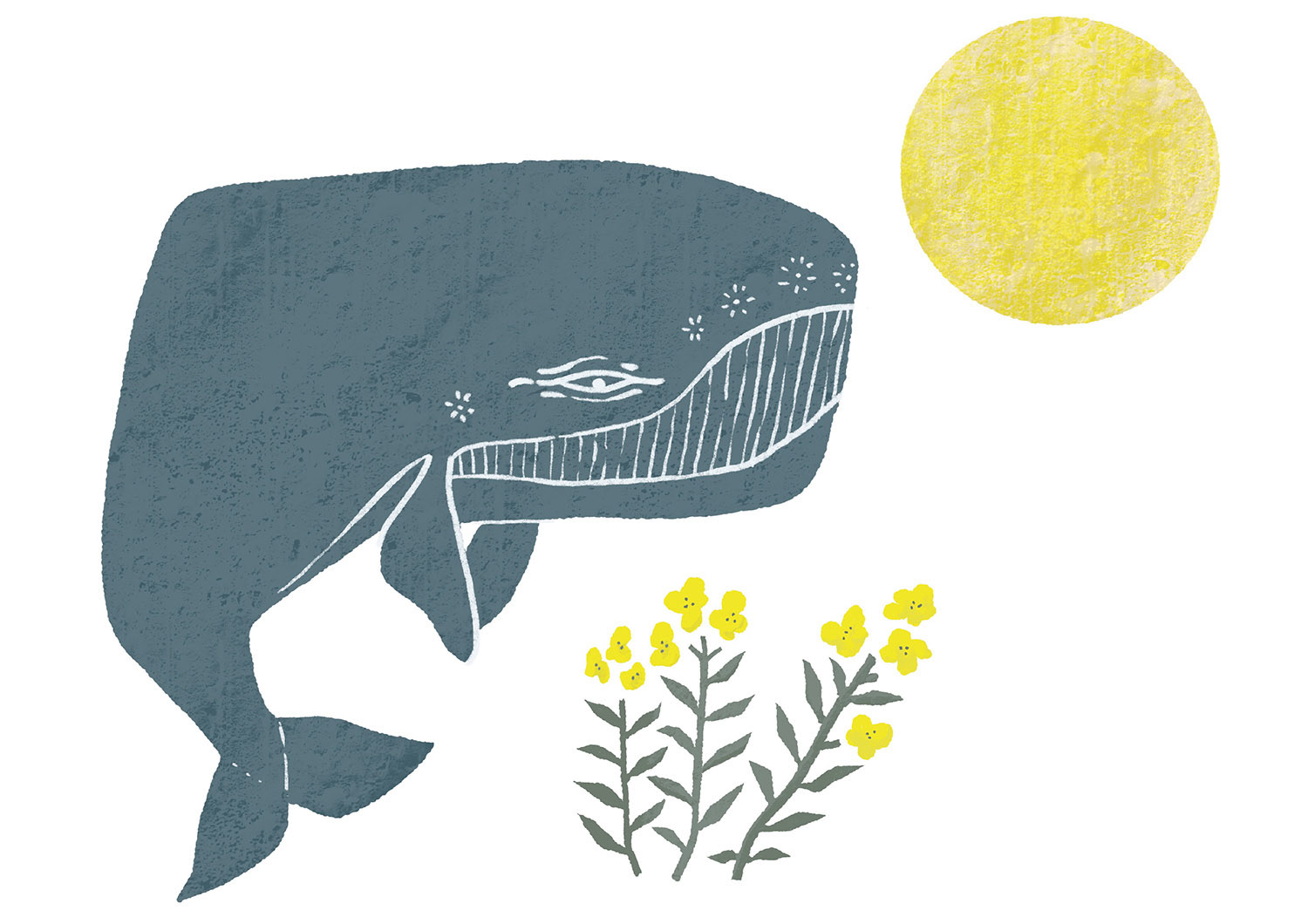 庭のクジラとツキミソウと月