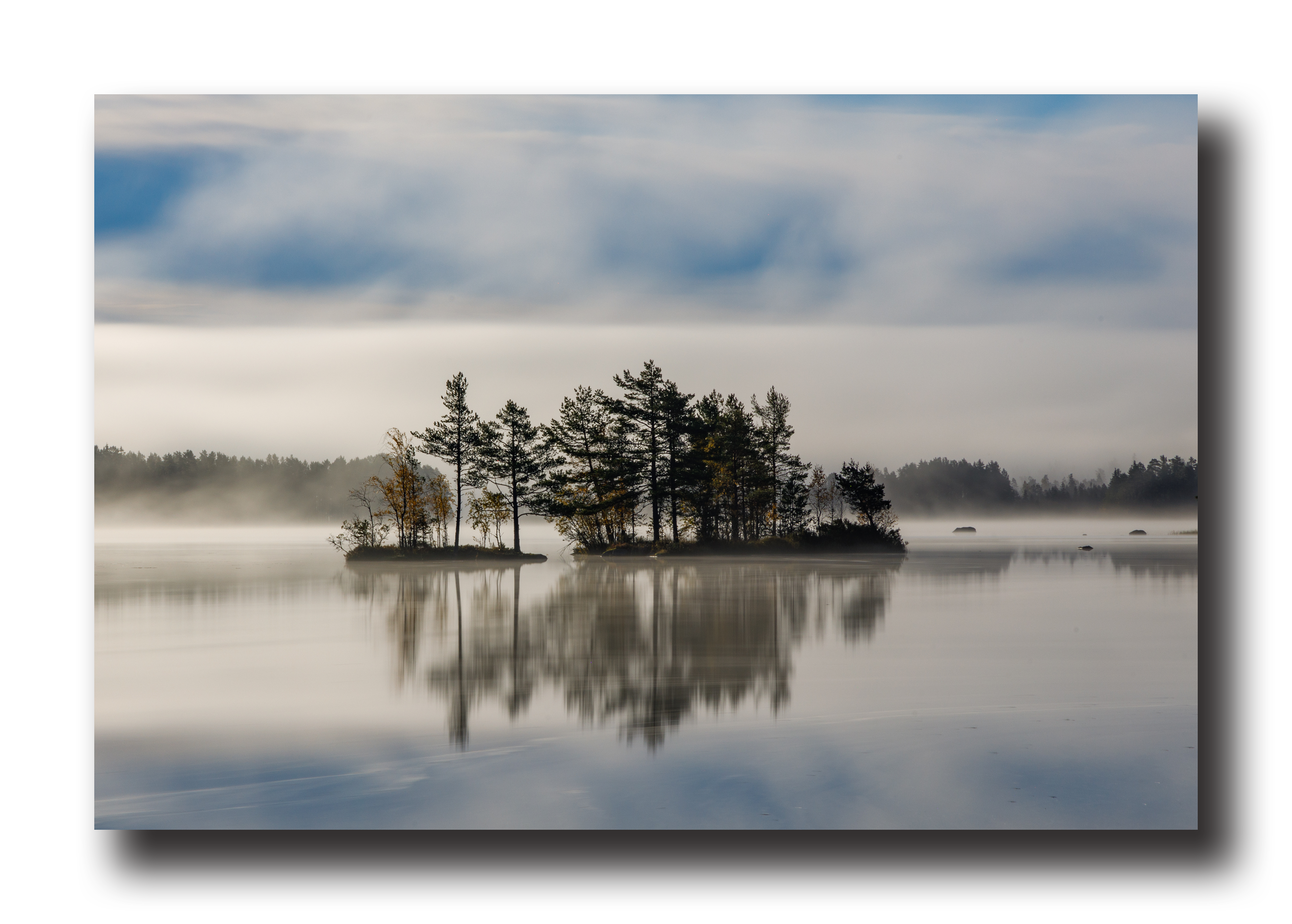 21 - In the mist