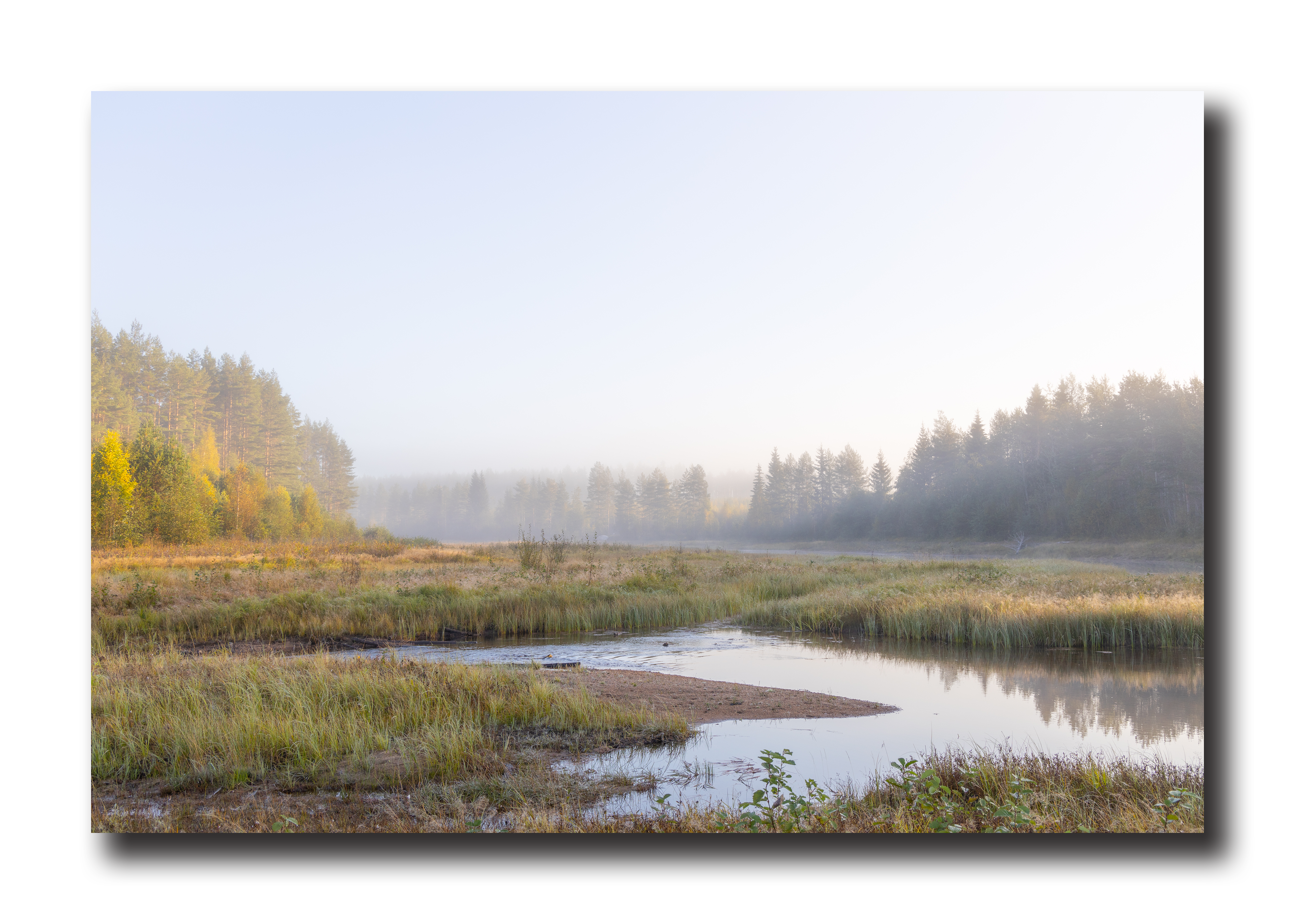 17 - Morning dew