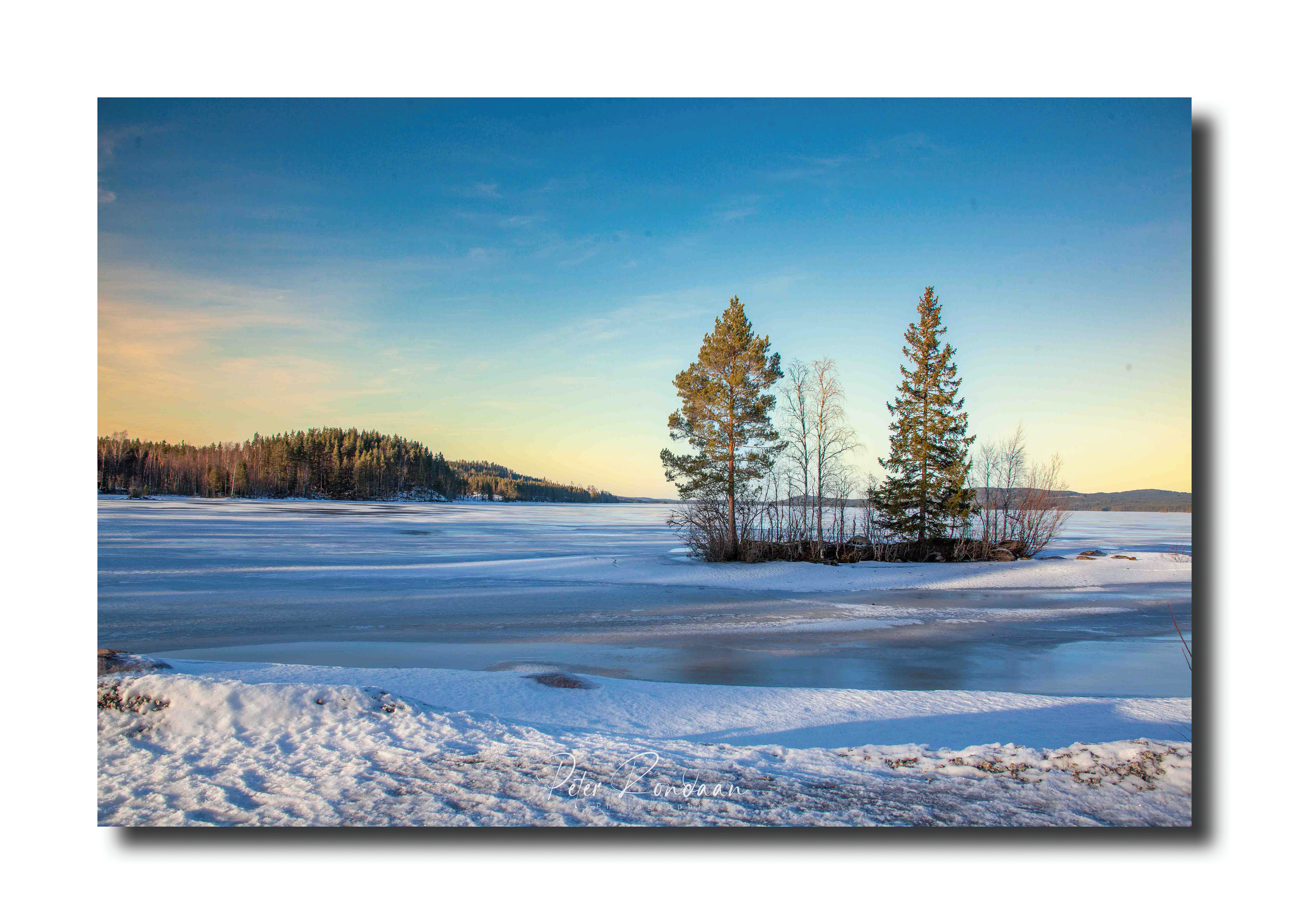 10 - Trees in lake Naren