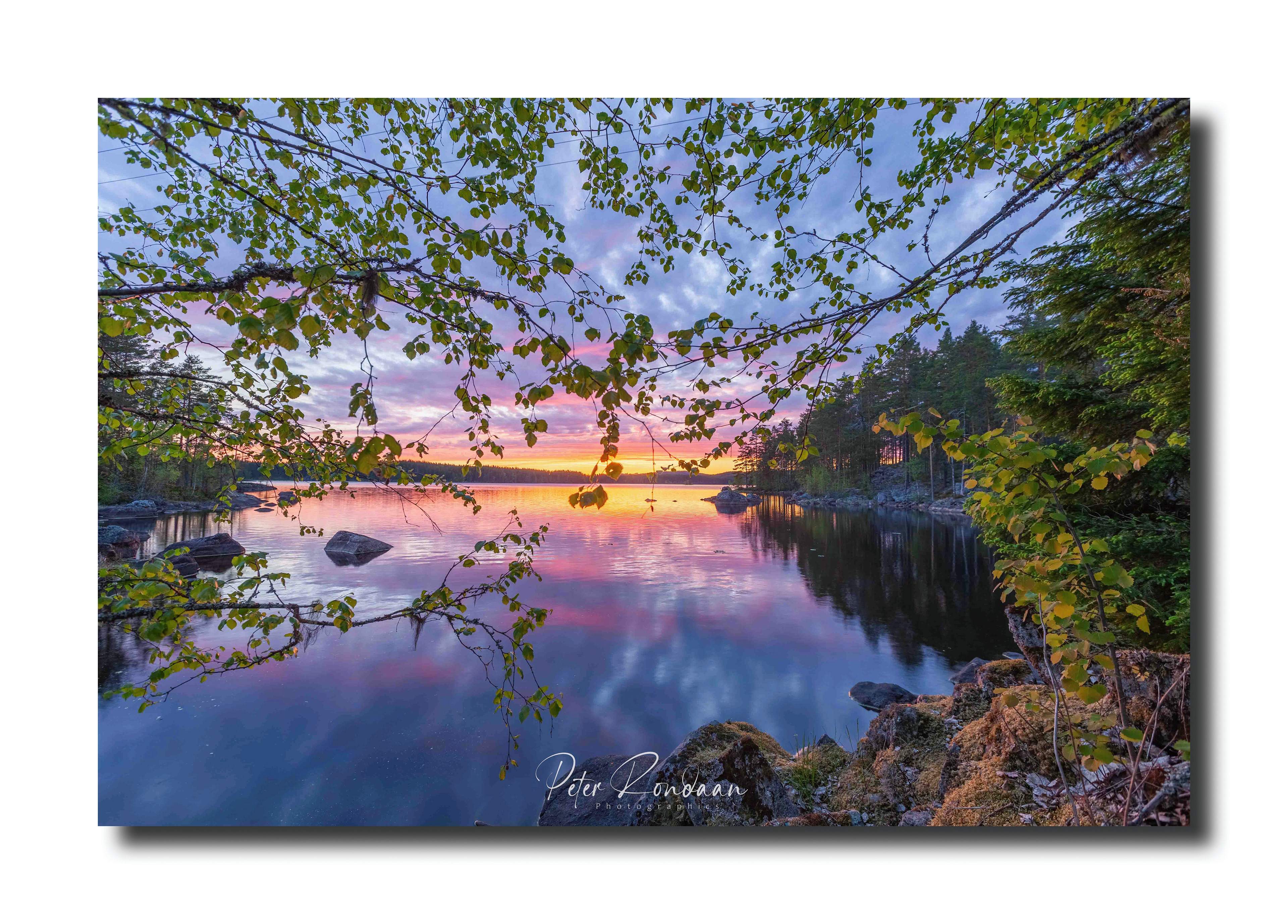 5 - Sunset between the leaves