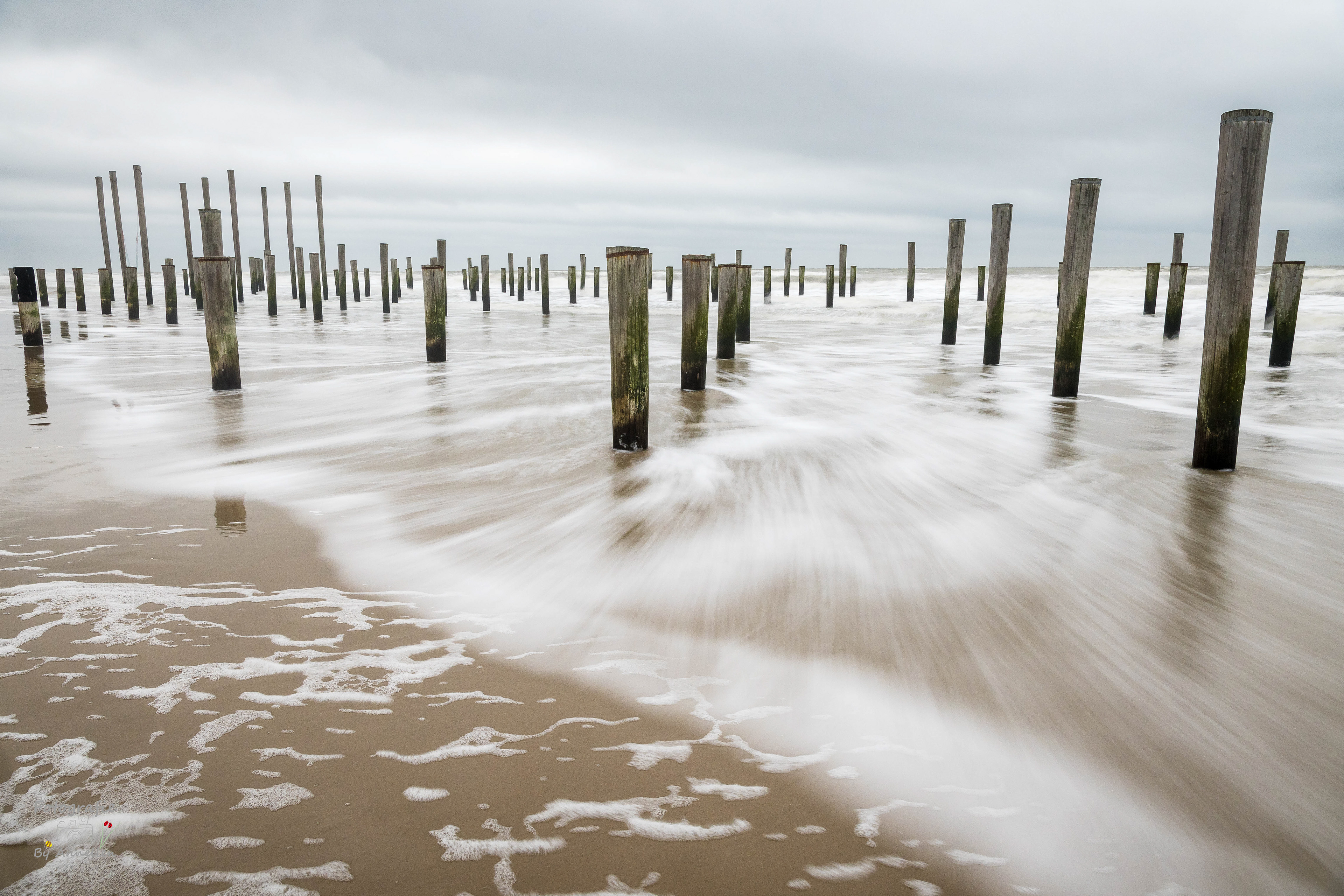 Palendorp Petten - Nederland