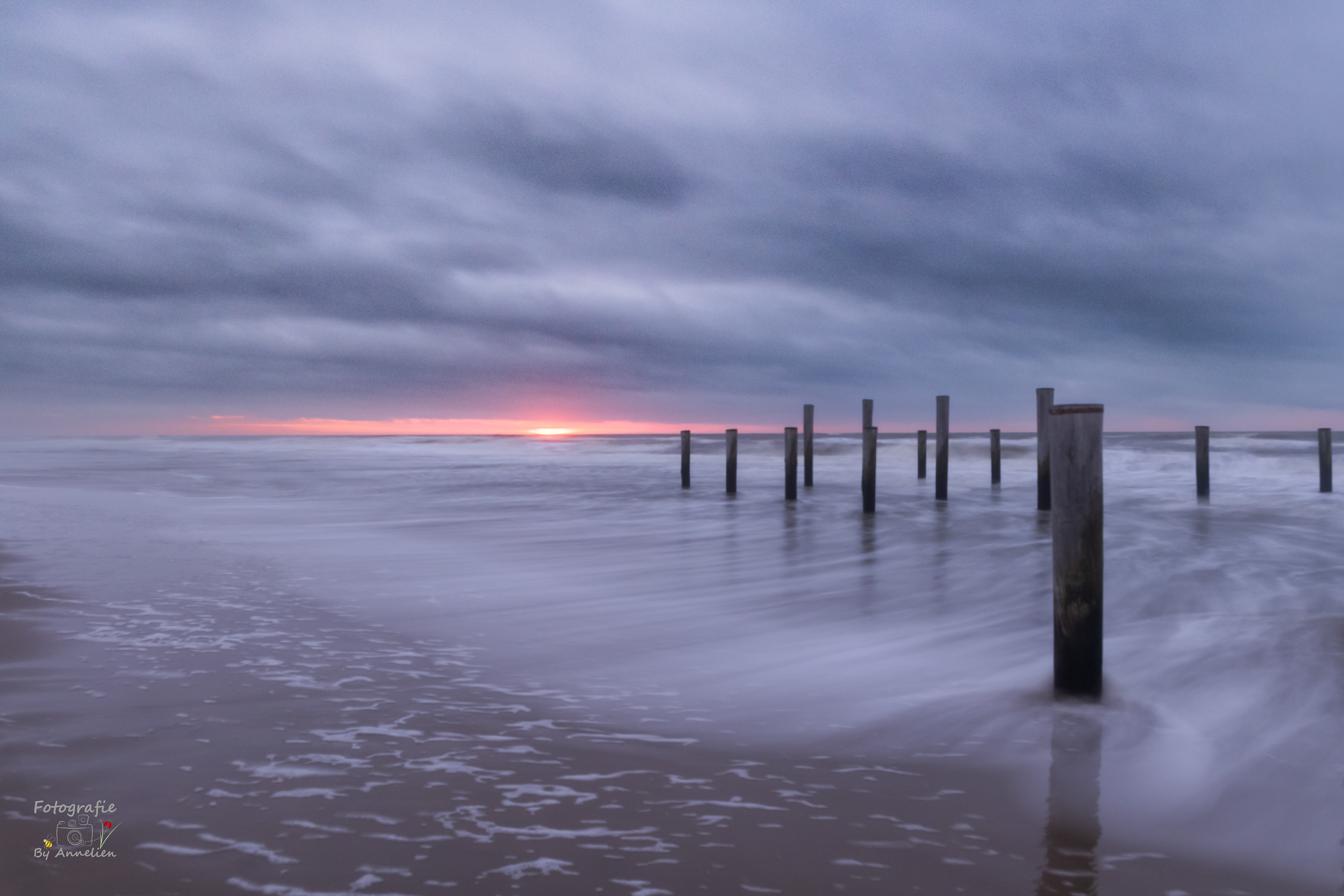 Palendorp Petten - Nederland