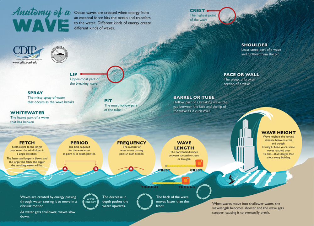 Christopher Barela - Case Study: Surf Science Gallery