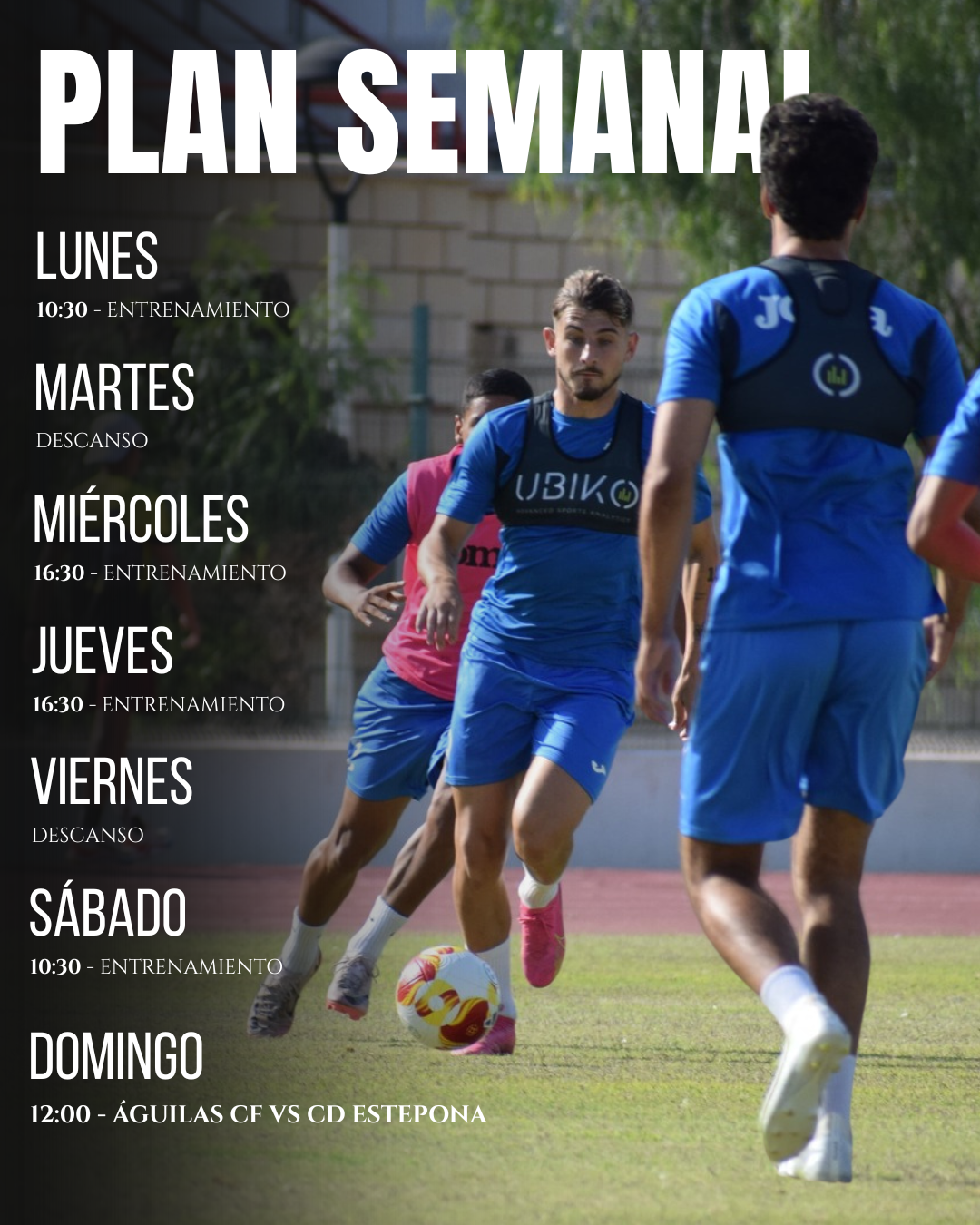 Plan semanal del equipo
