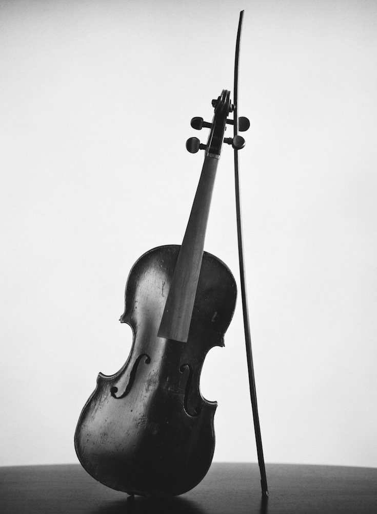 vioara veche de un secol, fotografie realizata de tiberiu raducu