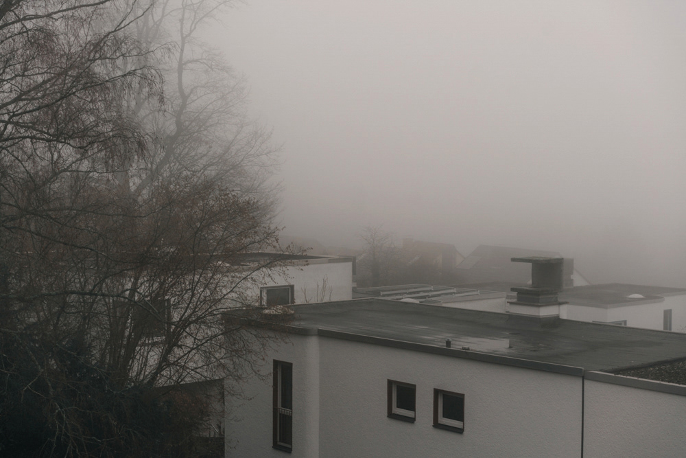 Neblige Dächer und Bäume im Displaced-Projekt von Oxana Guryanova