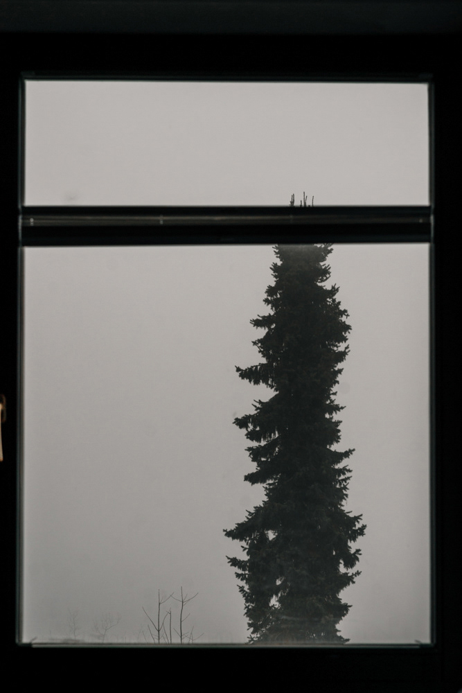 Baumsilhouette im Fenster, minimalistisches Foto von Oxana Guryanova., bochum