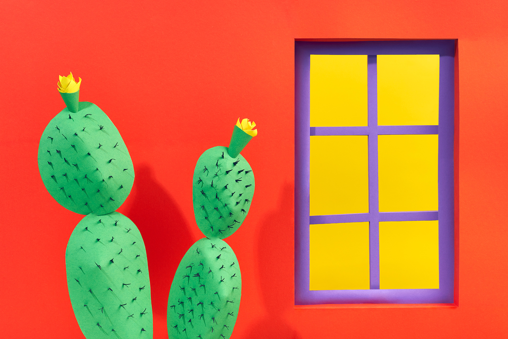 Mexican Window & Cactus