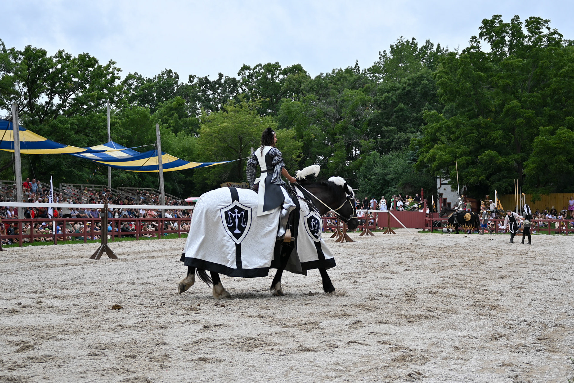 Bristol Renaissance Faire