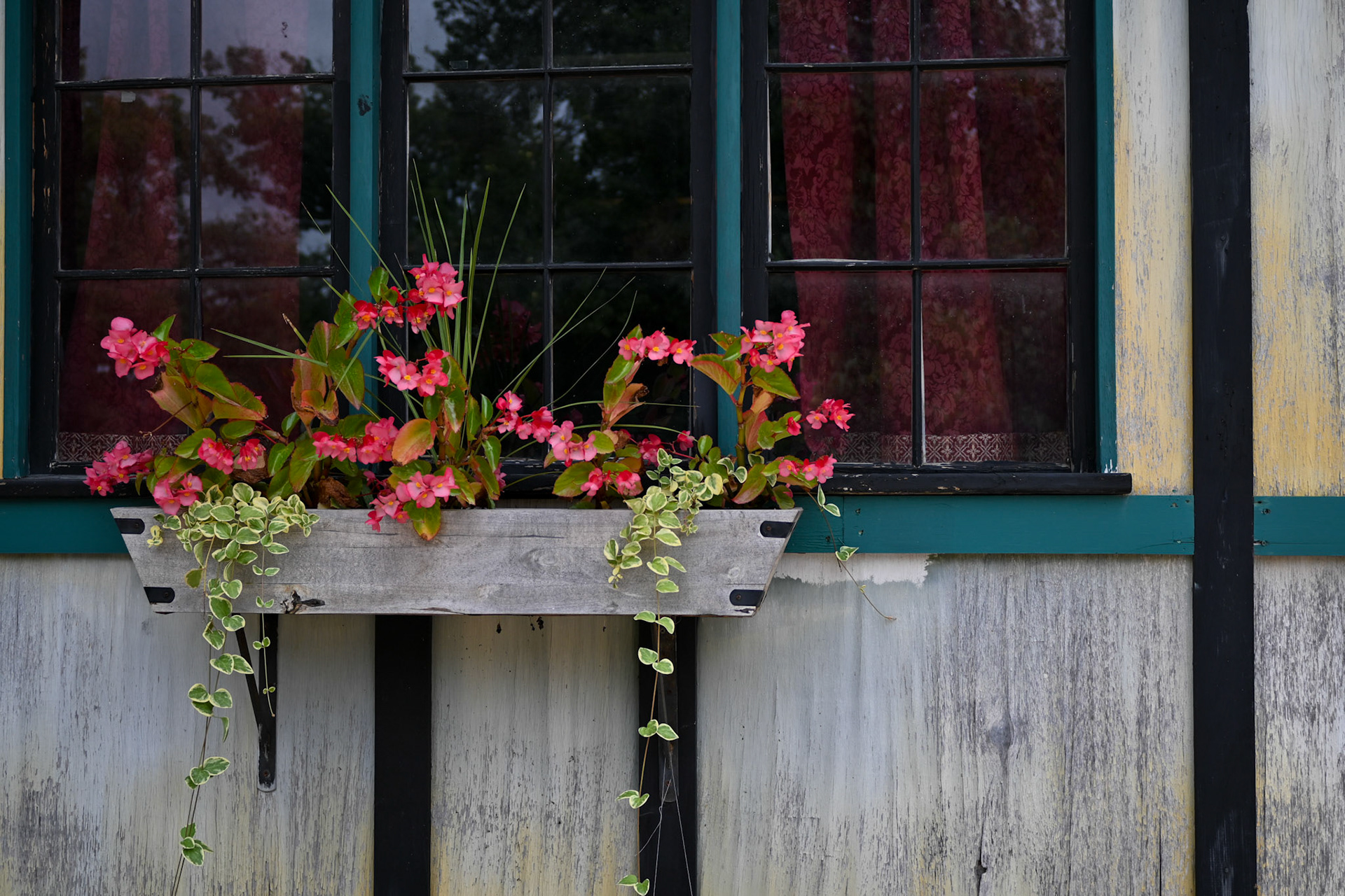 Bristol Renaissance Faire