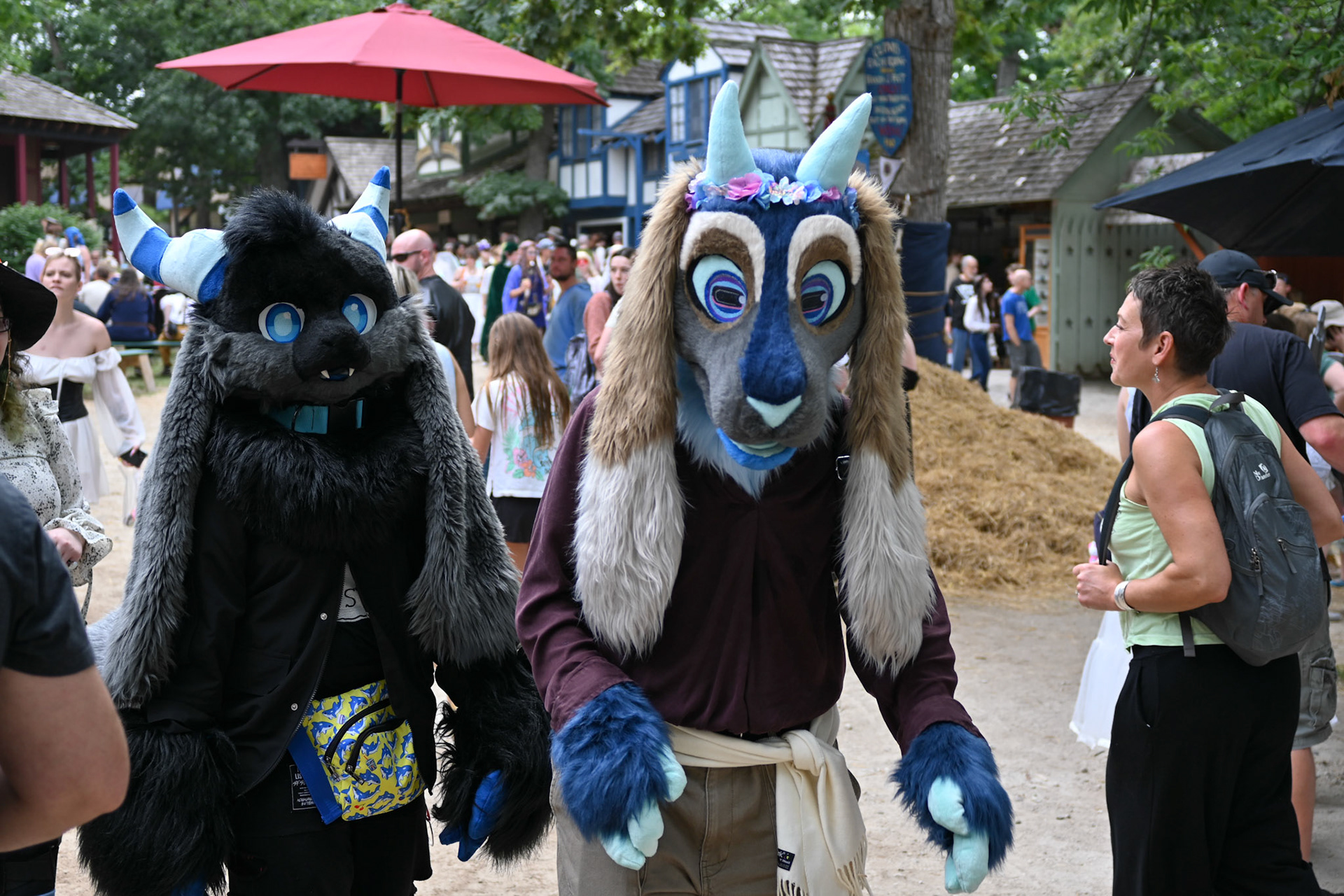 Bristol Renaissance Faire