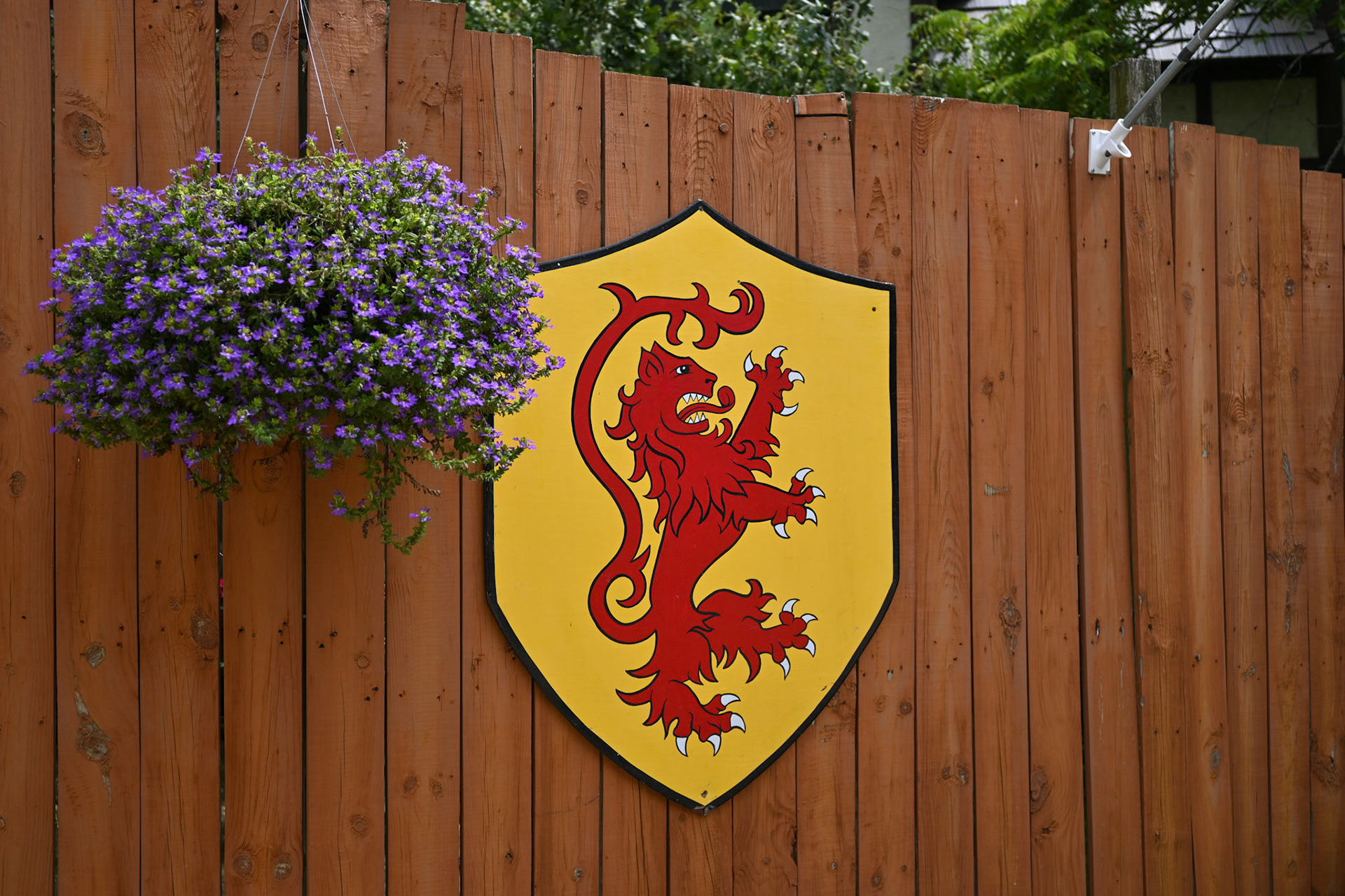 Bristol Renaissance Faire