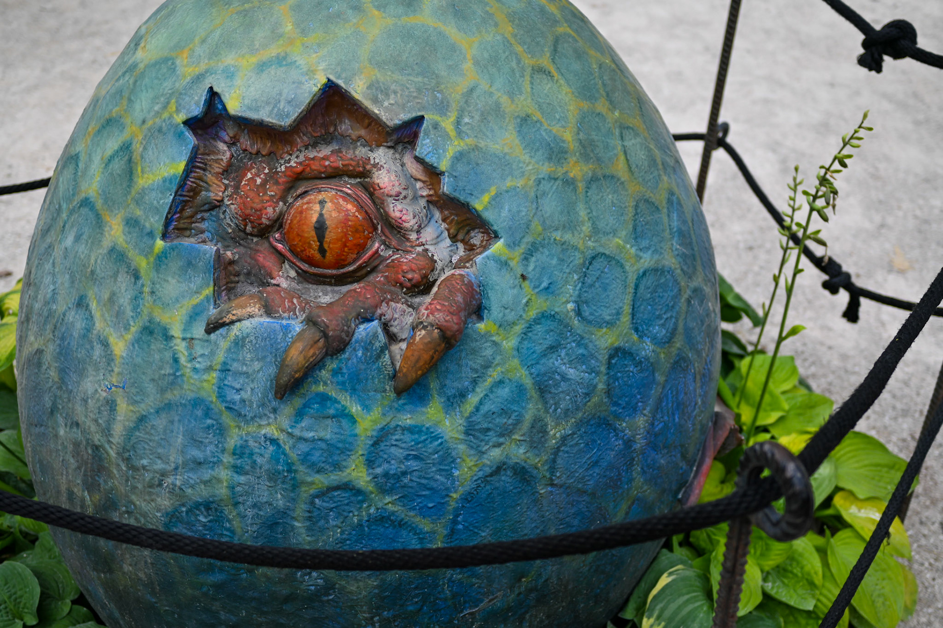 Bristol Renaissance Faire