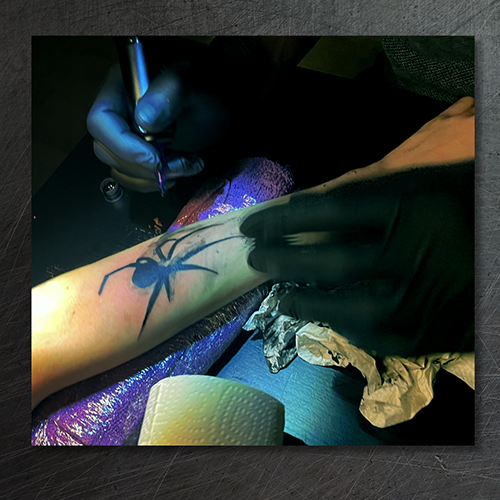 simple black • realistic spider