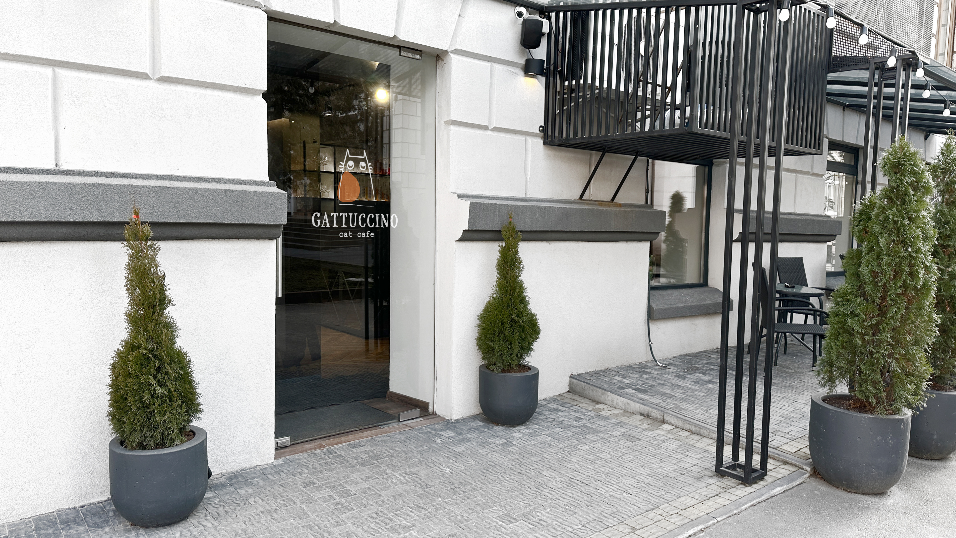 VISUAL IDENTITY / Gattuccino - cat cafè
