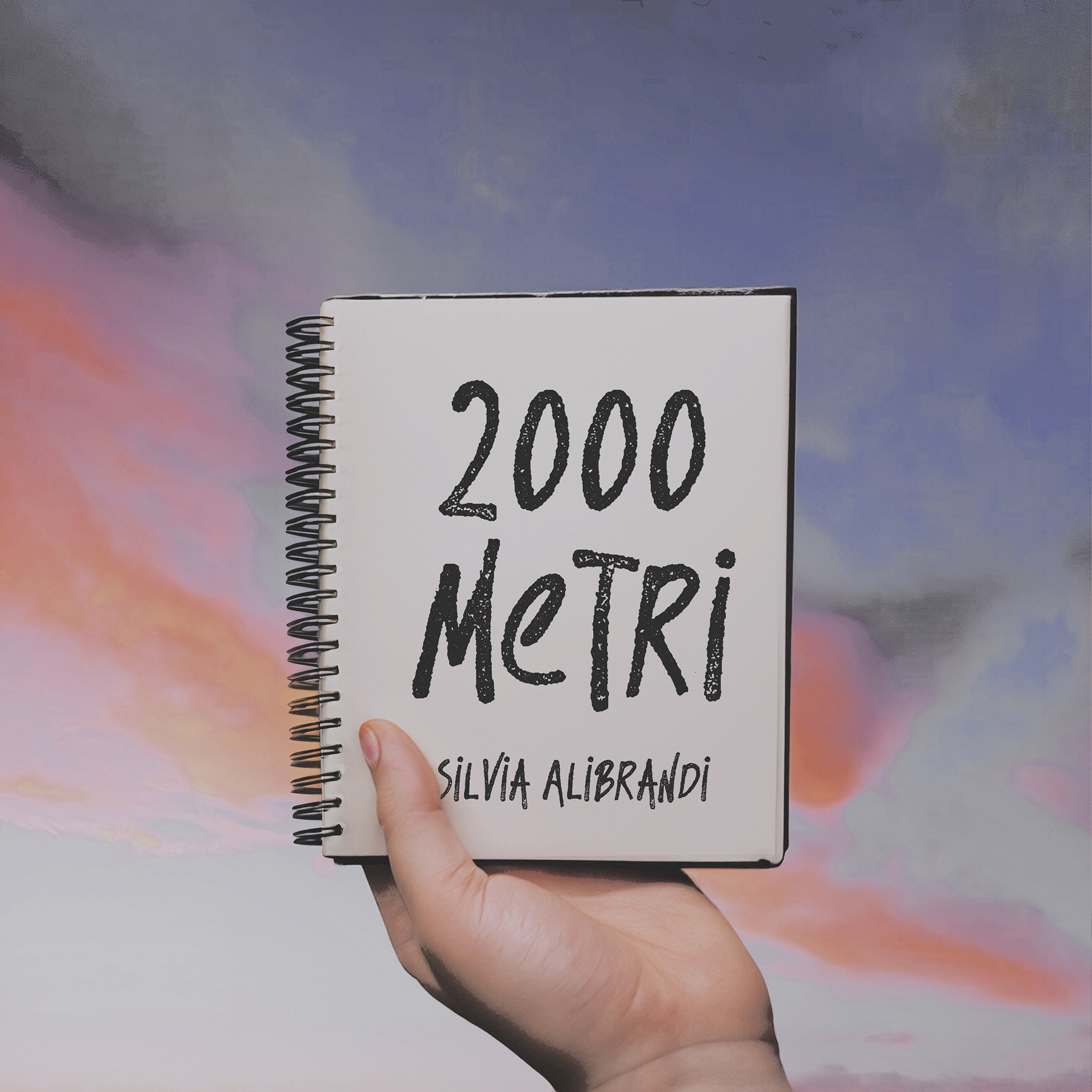 Artwork / 2000 metri - Silvia Alibrandi