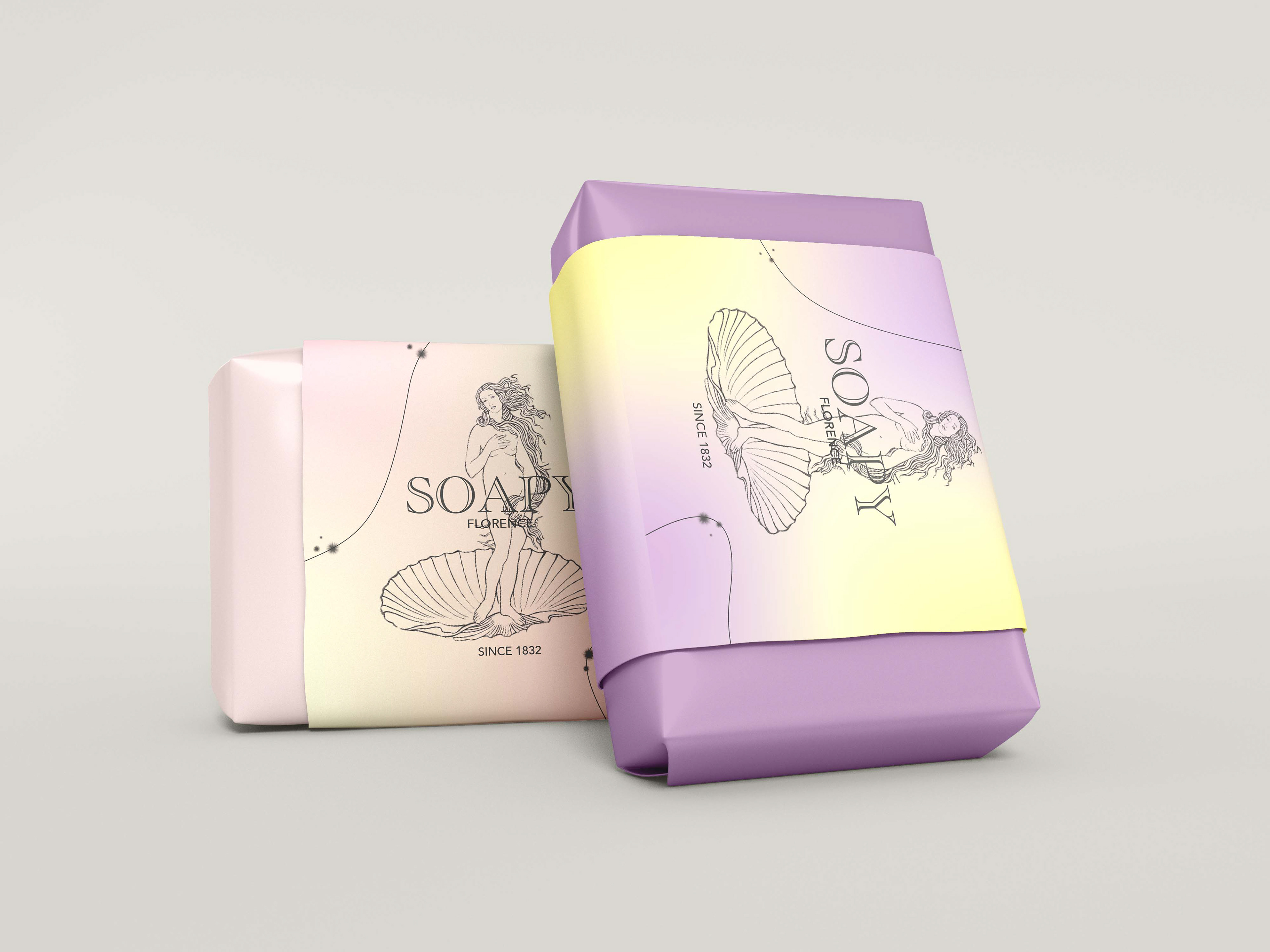 BRANDING / logo + any extras for a soap company