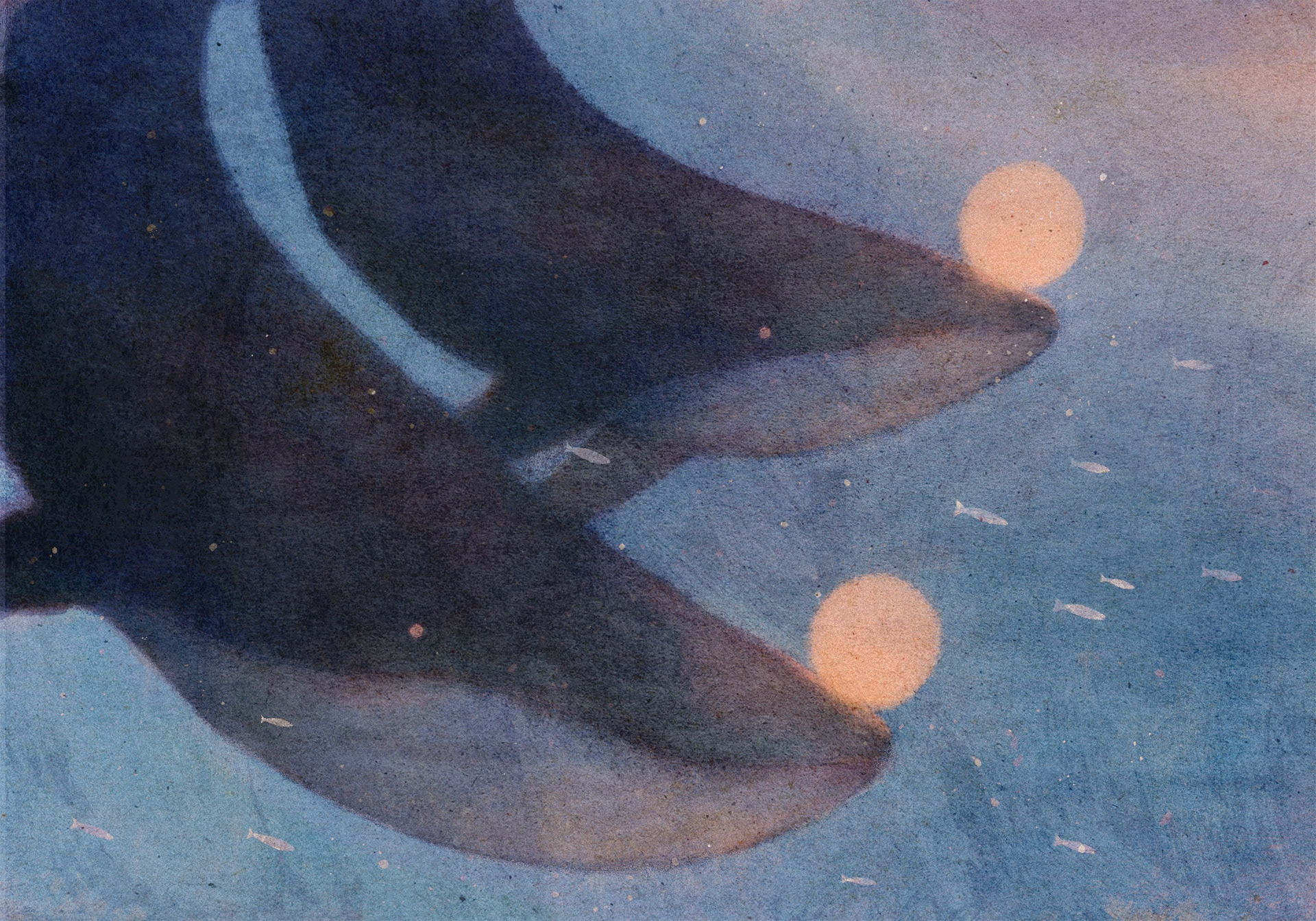 First Lights