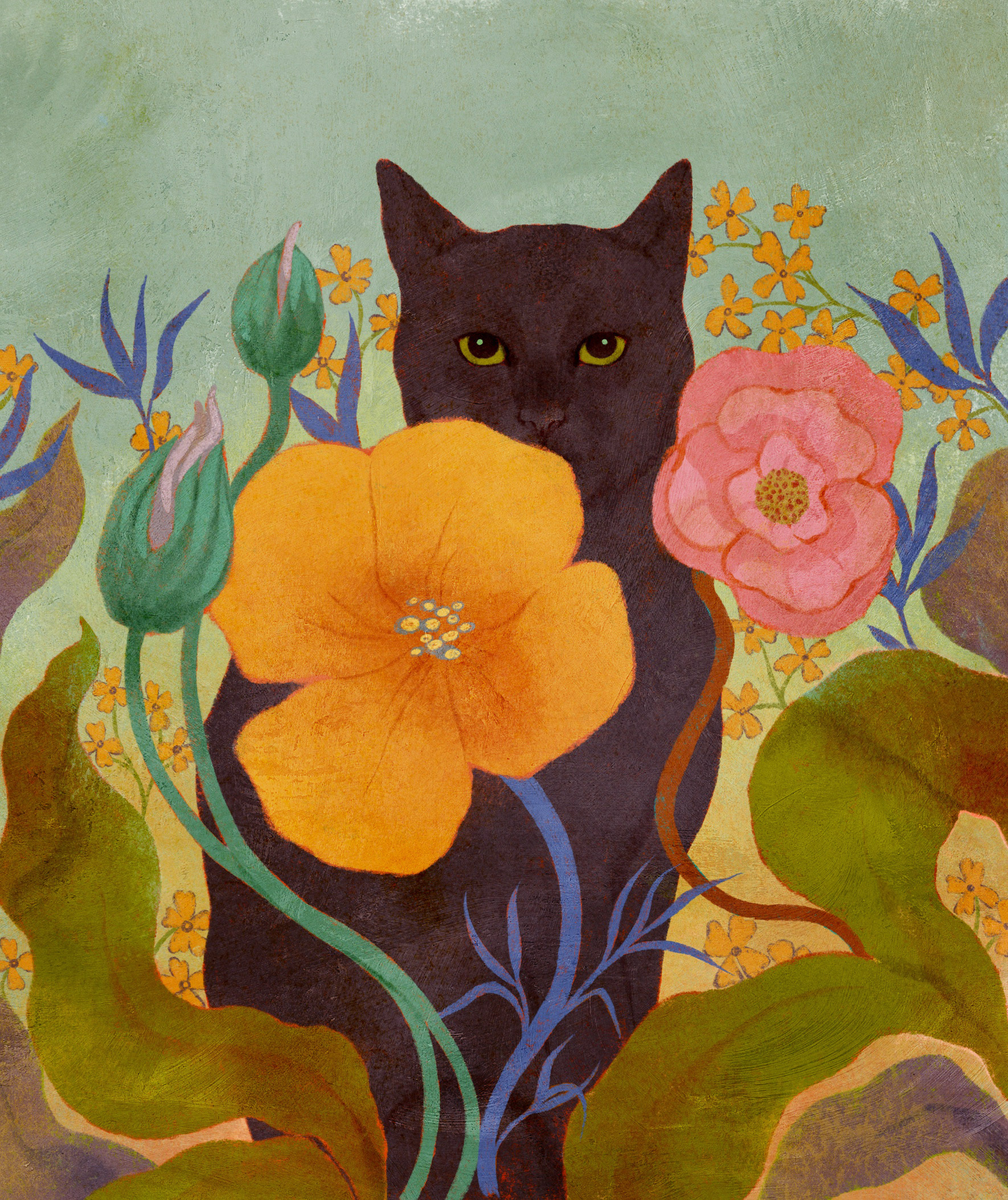 Cat & Flora