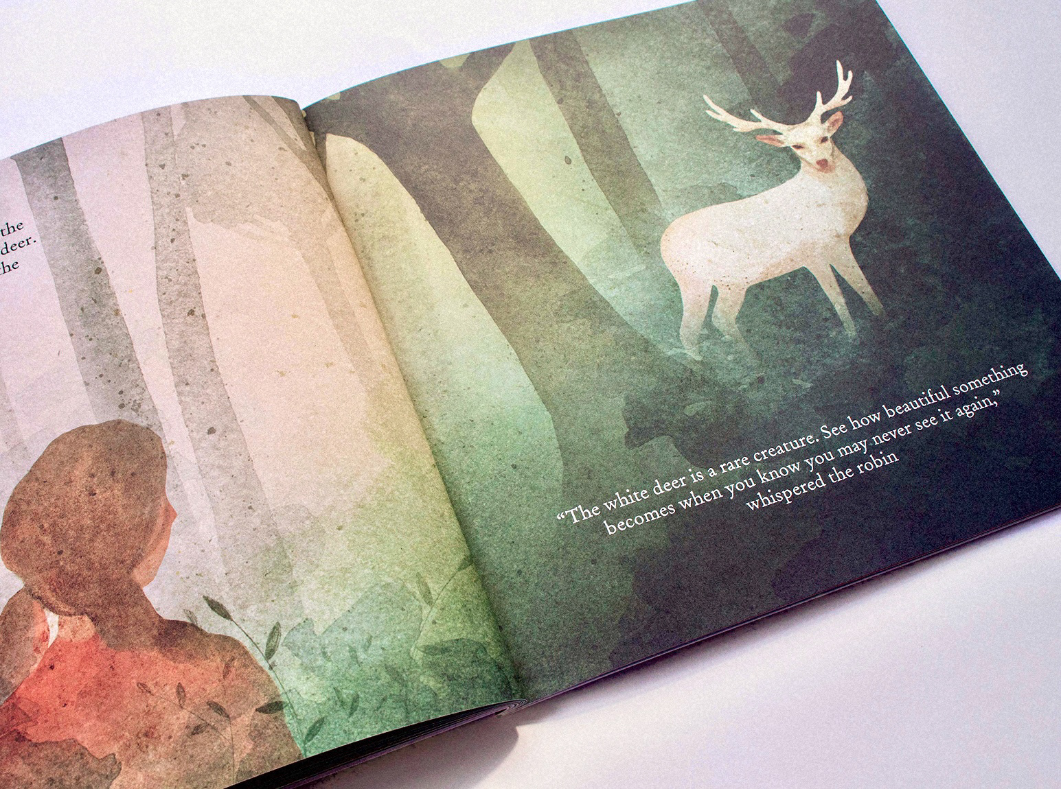 Pages from picture book ‘A Rare Visitor’