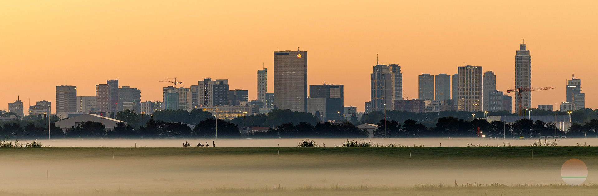 Stadsgezicht Rotterdam - 9 juni 2023