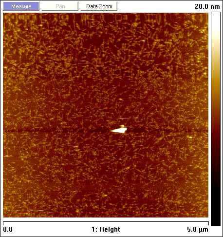 AFM - L-Drive Rotor 5 um FOV
