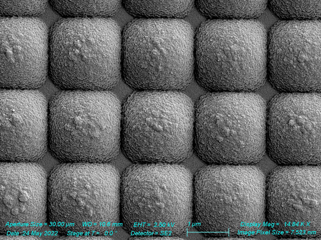 SEM - Pixels from Phone Camera (CCD)