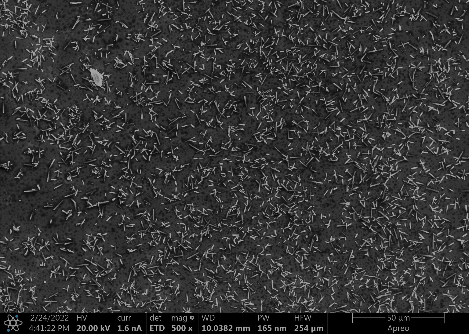 SEM - ZnO Nanowires