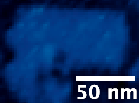 NanoNERF