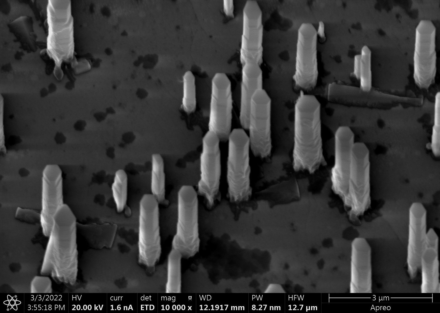 SEM - ZnO Nanowires on Patterned GaN