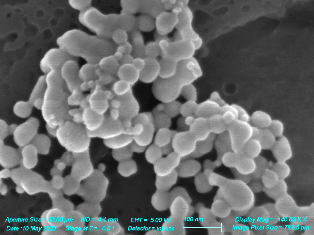 SEM - Ag Coated Au Core Shell. Nanoparticles