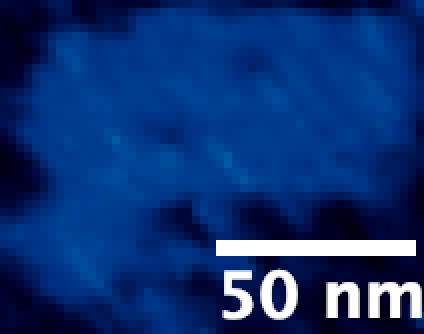 NanoNERF