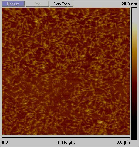 AFM - L-Drive Rotor 3 um FOV