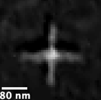 ORBIT Rotor