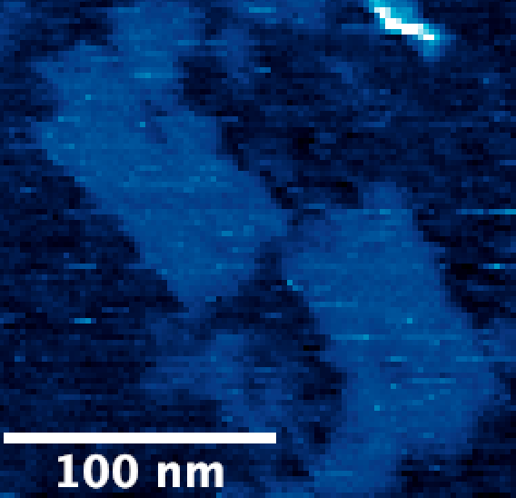 NanoNERF