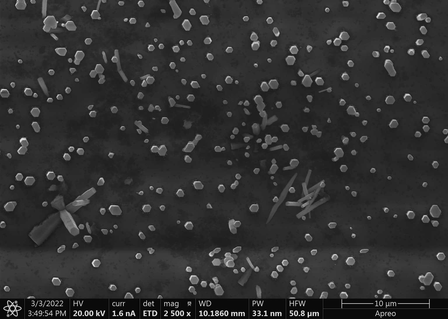SEM - Bird's Eye View ZnO Nanowires