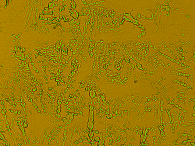 Liposome Dispersion
