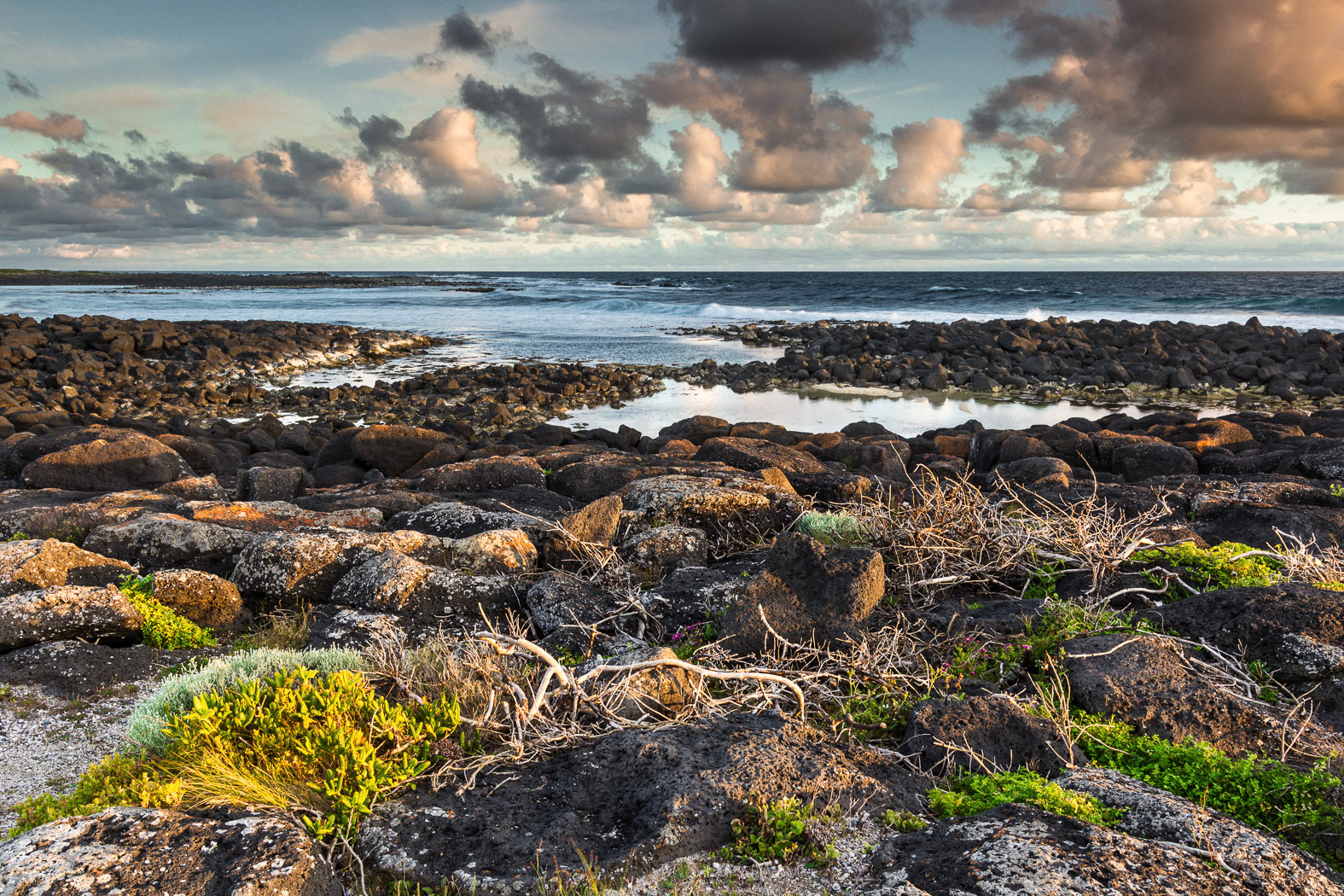 Port Fairy Coast