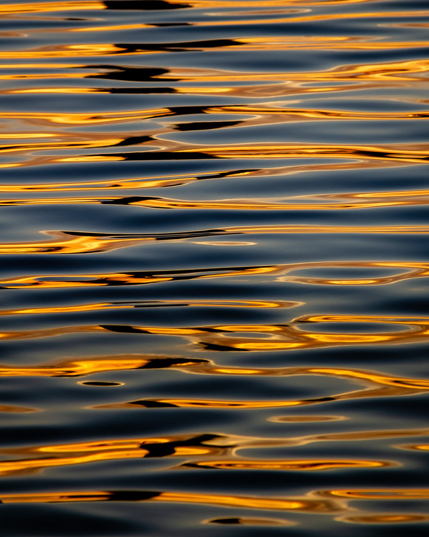 Summer Evening 1