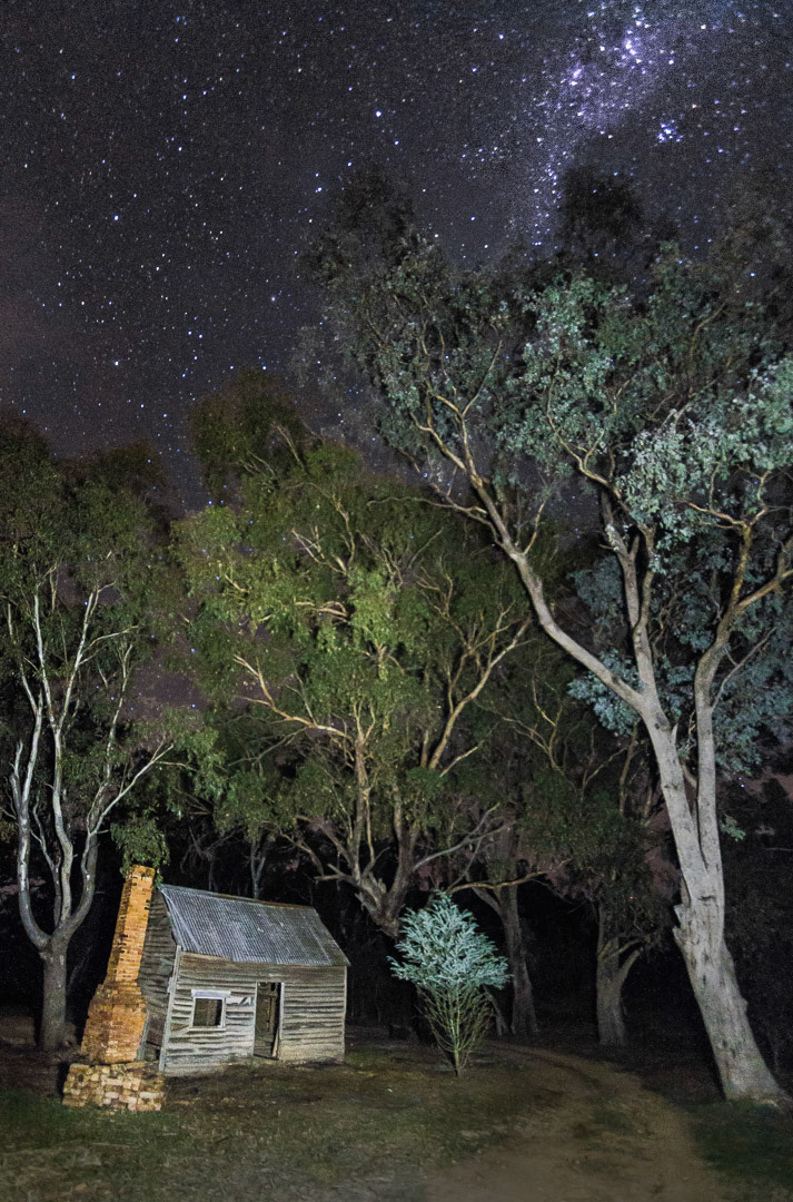 The Shed