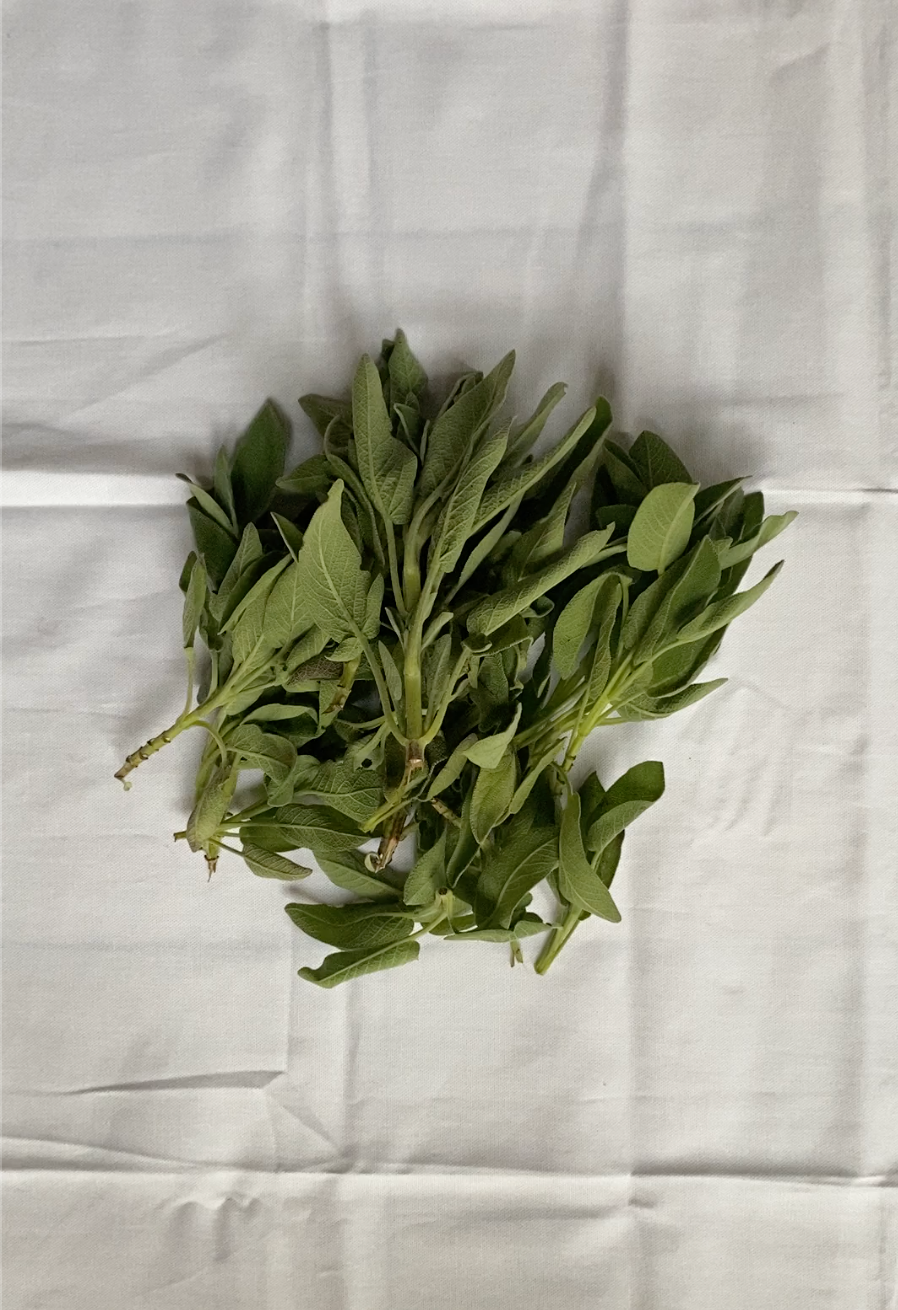 sage
