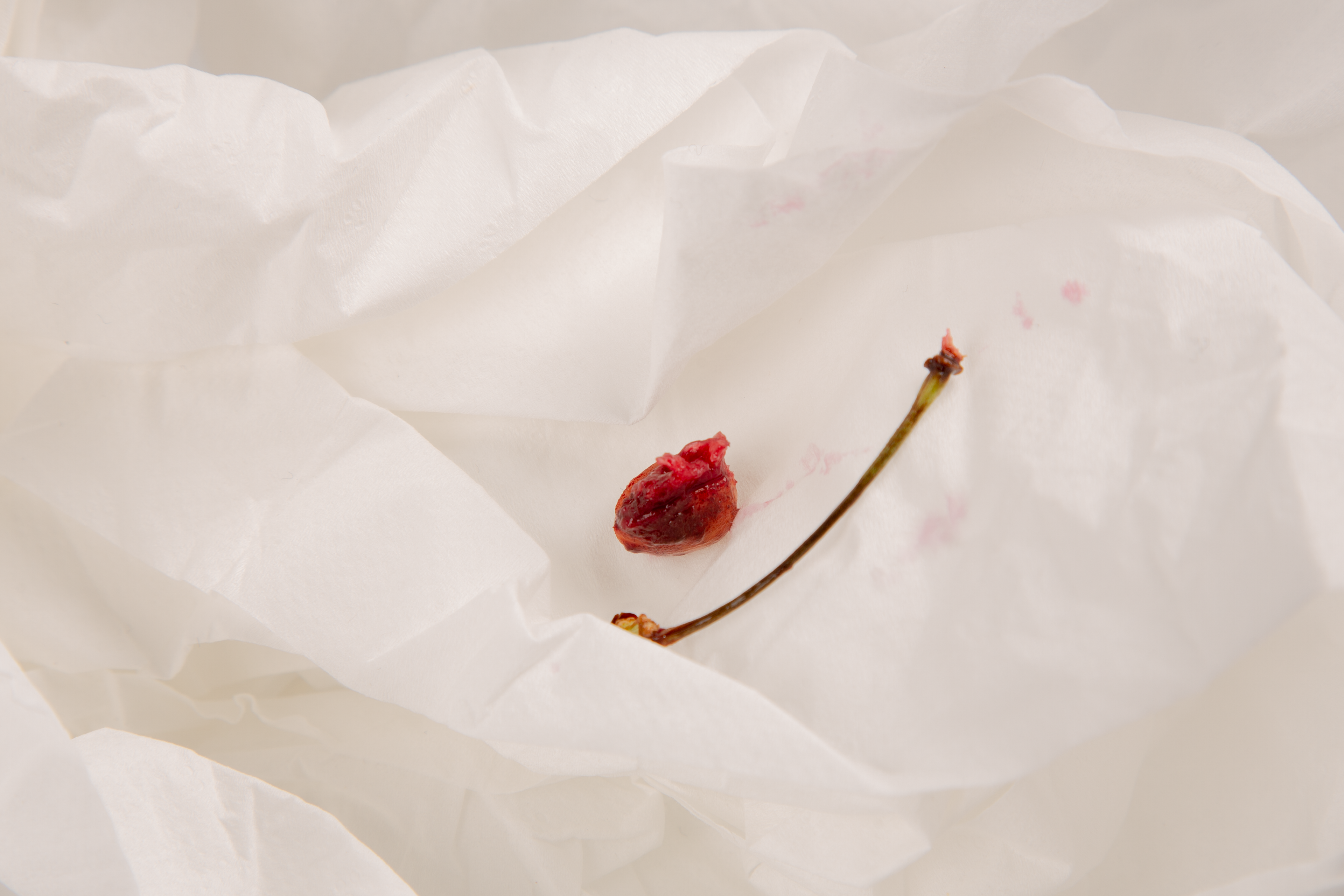 January 15th, 2026 - A Mock fruit drink product shoot 