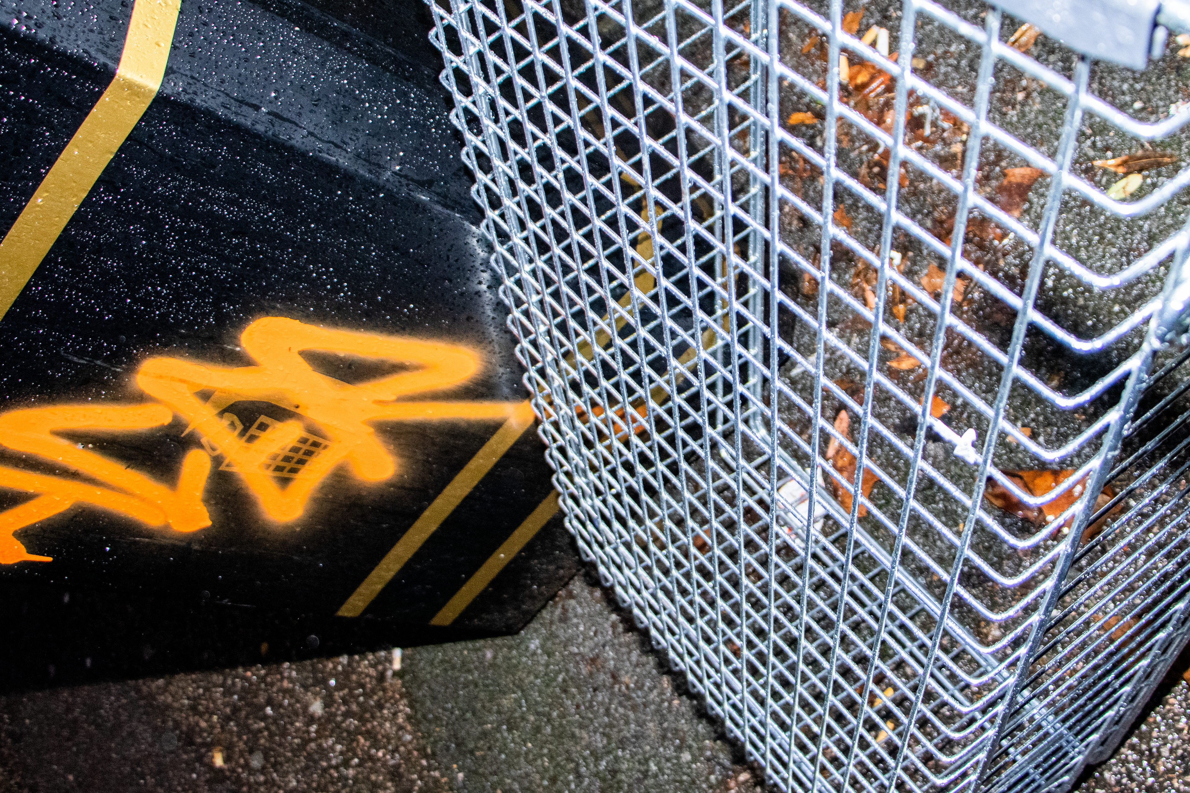 January 13th, 2026 - A artistic photo of a shopping trolley and a bin
