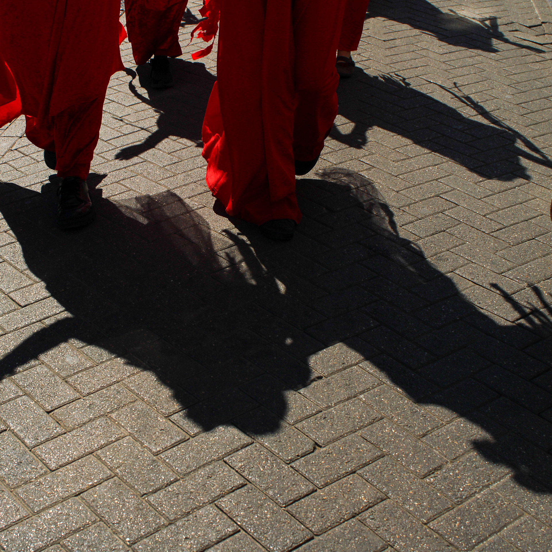 May 10th, 2025 - Red Rebels join Extinction Rebellion in the 1.5 is dead march in Cambridge