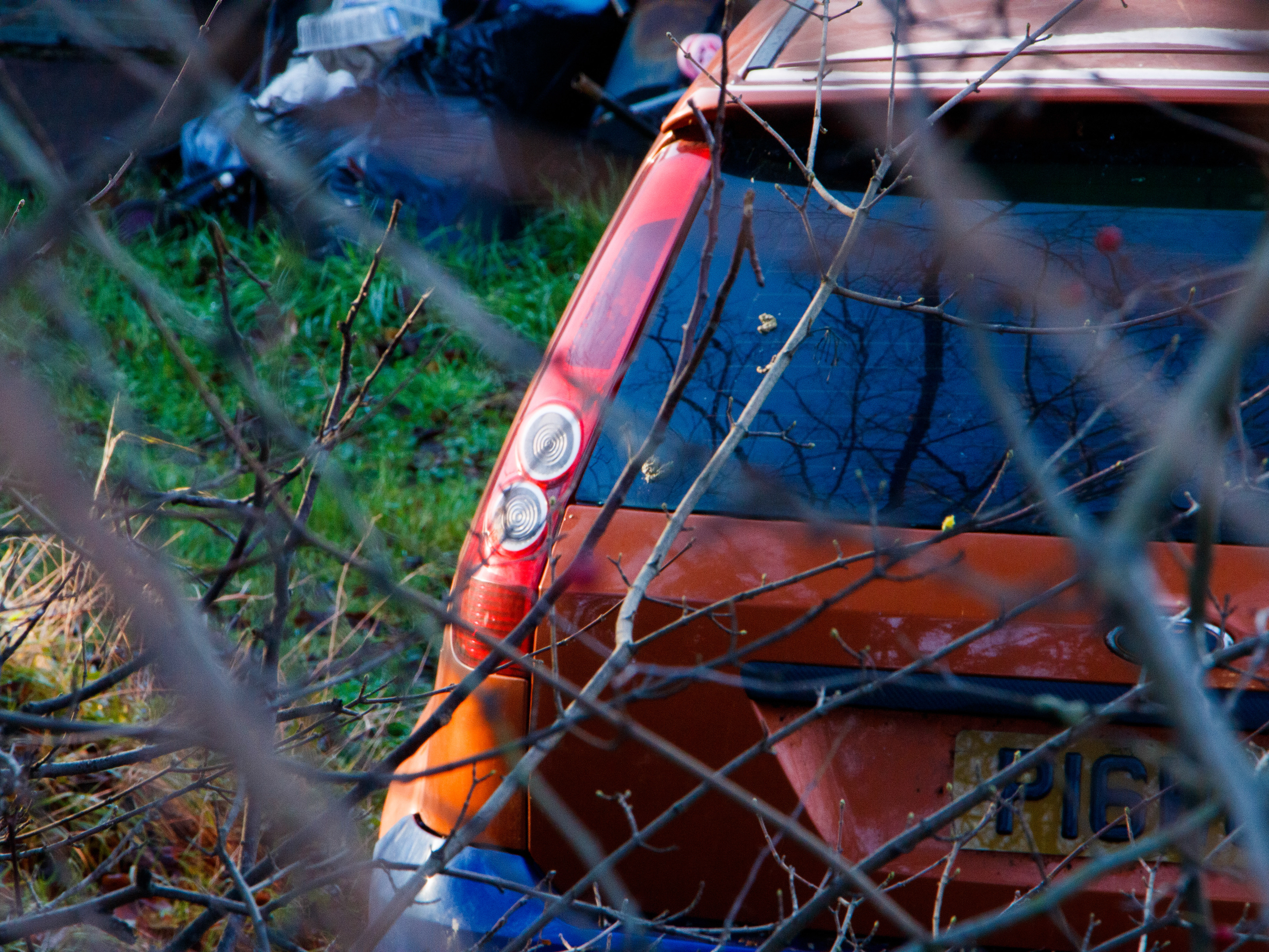 January 14th, 2026 - A car parked up in a patch of grass